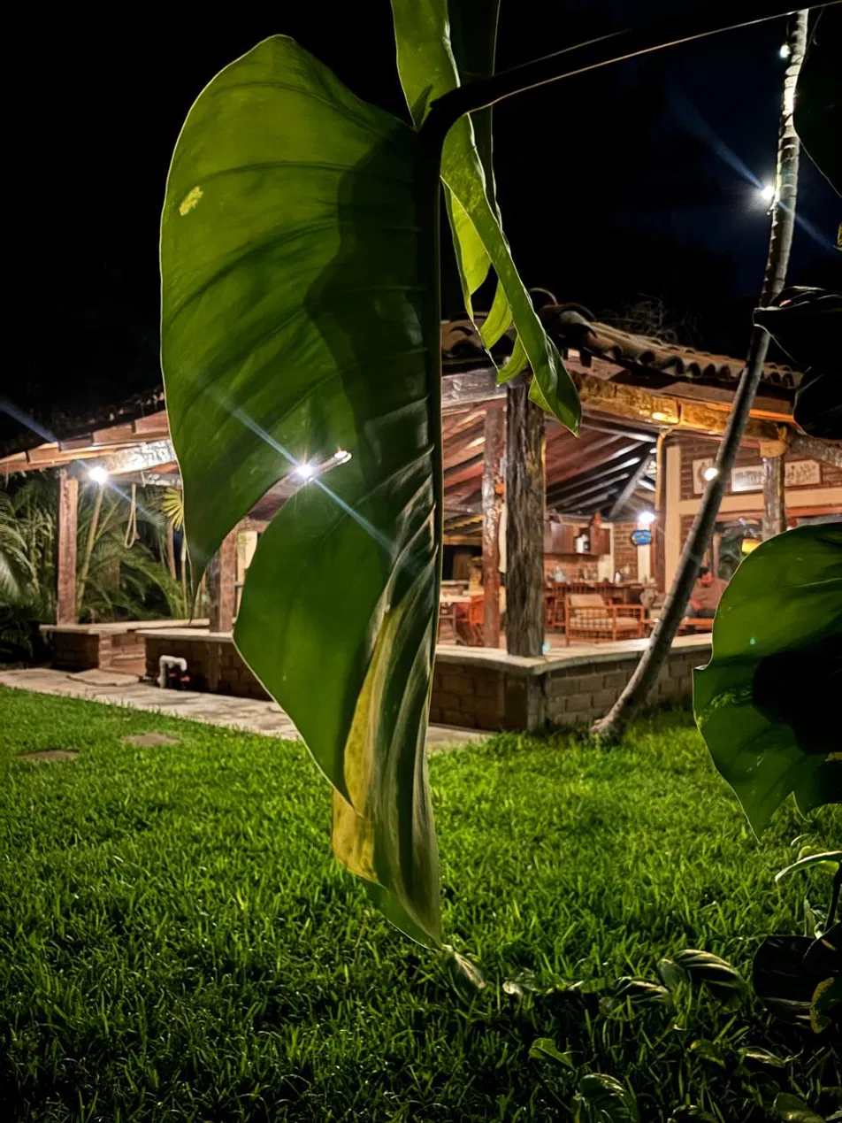 Terraza exterior de noche